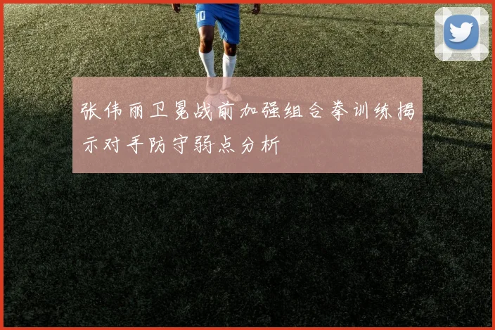 张伟丽卫冕战前加强组合拳训练揭示对手防守弱点分析