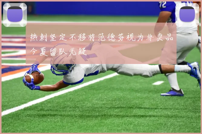 热刺坚定不移将范德芬视为非卖品今夏留队无疑